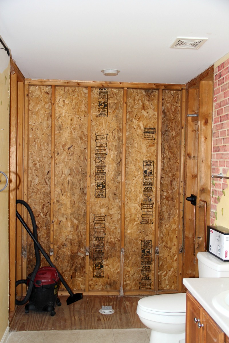 Master Bathroom: Dang Shower!