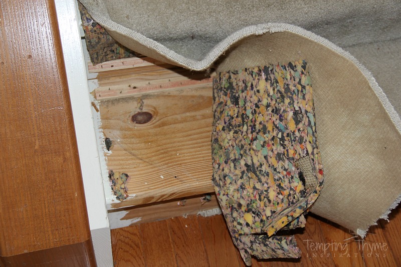 Stair Project Begins: Removing the Carpet and Prepping the Wood