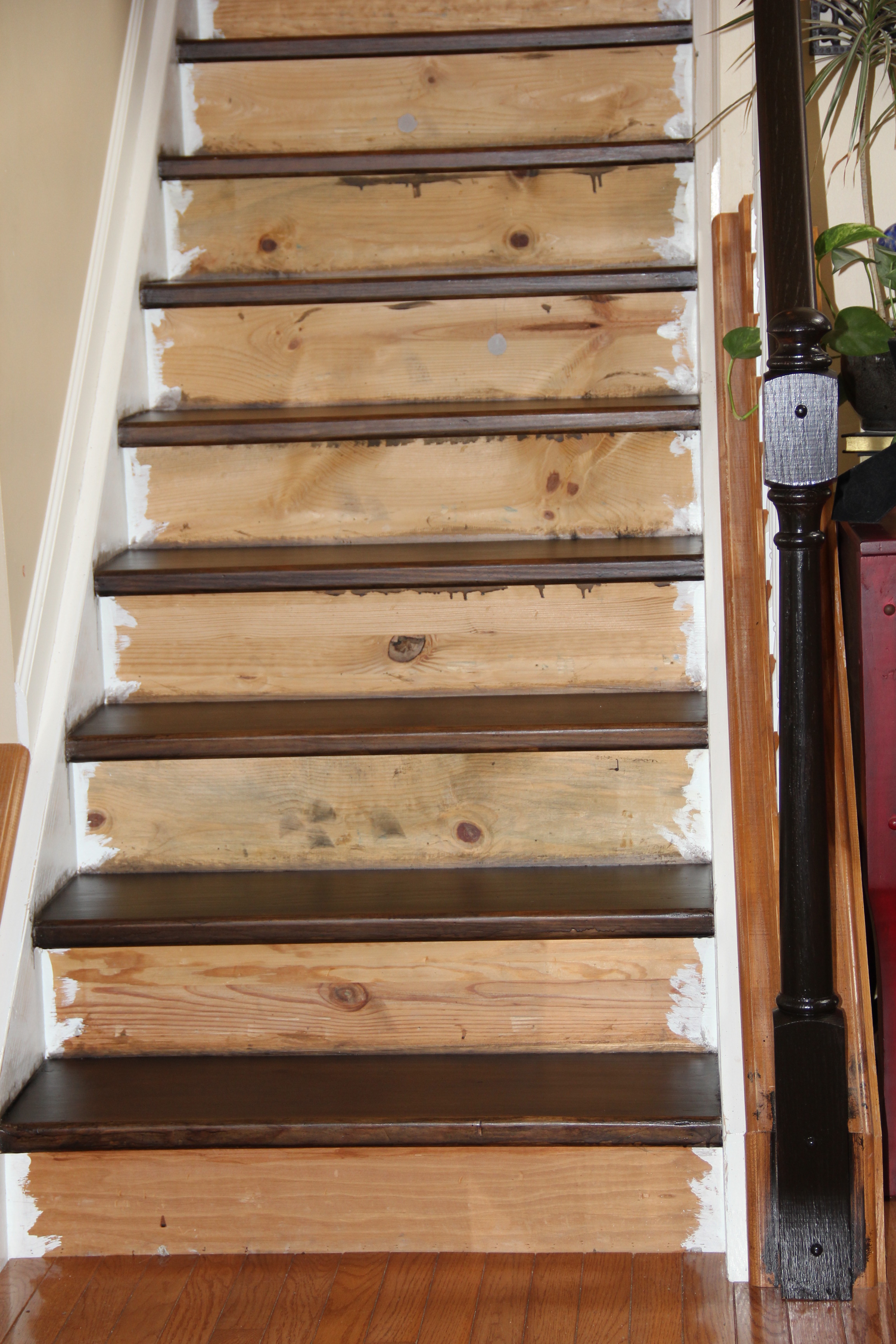 Staining Pine Stair Treads tempting thyme