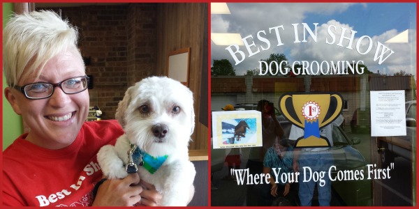 Dog Grooming in Hamilton,OH