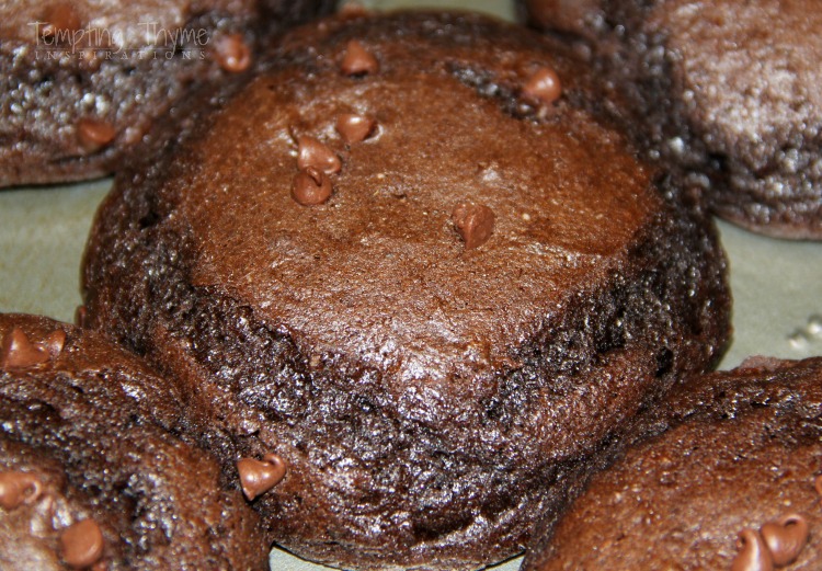Chocolate Muffins-Easy Breakfast Recipes