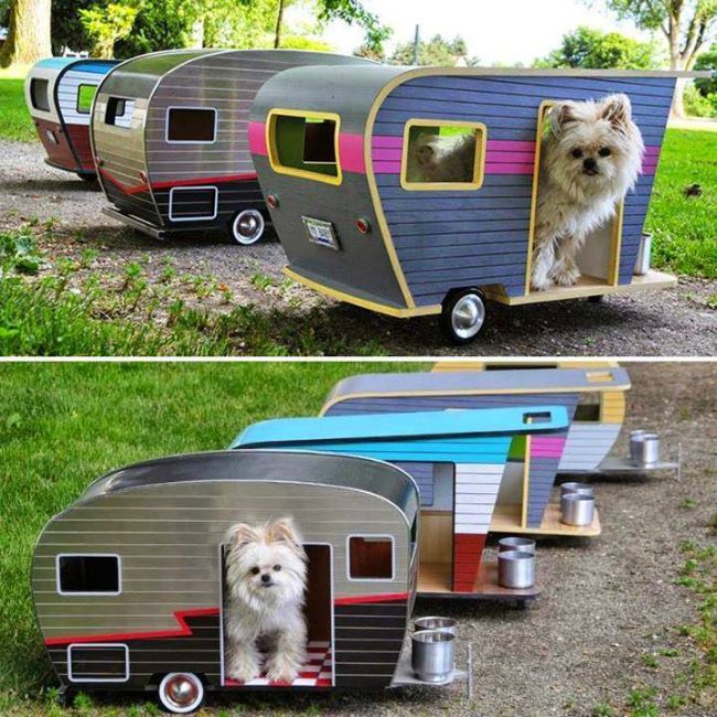Dog camper