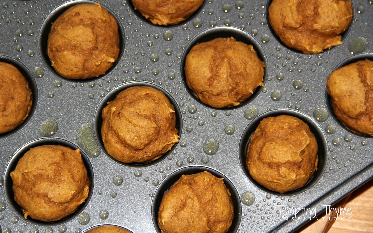 Two Ingredient Pumpkin Muffin Bites