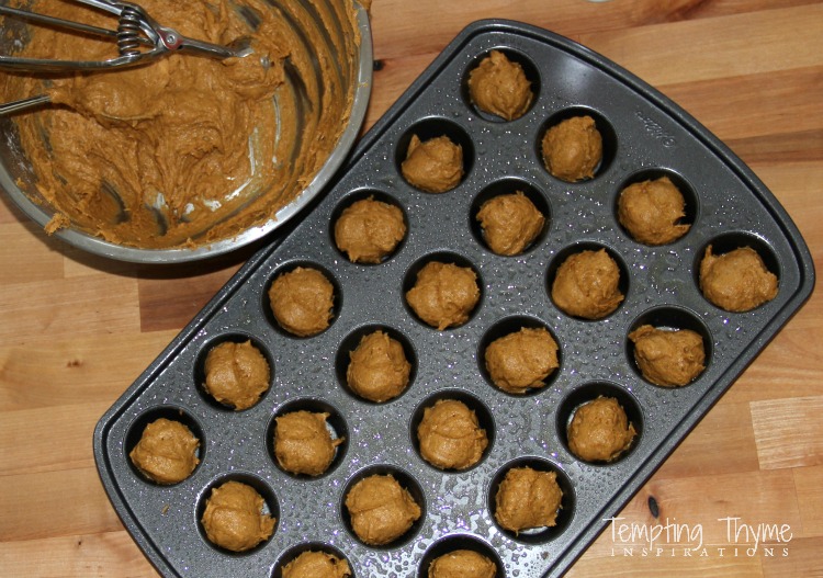 Two Ingredient Pumpkin Muffin Bites