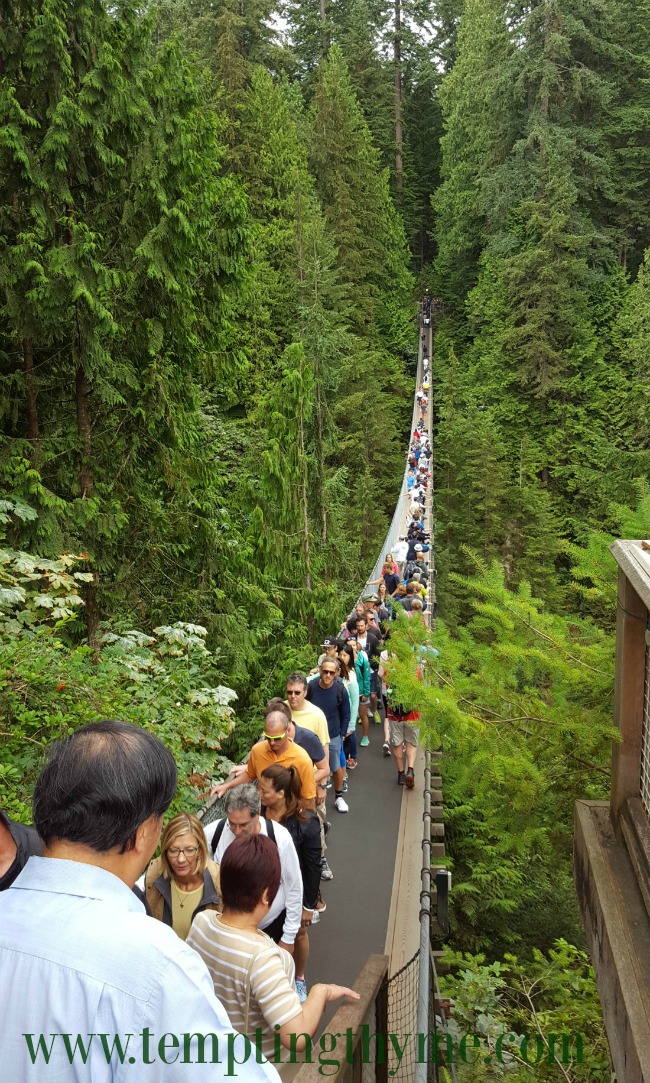 Capilano Suspension Bridge