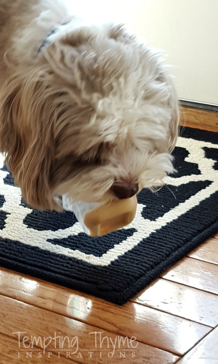 Frosty Paws Ice Cream