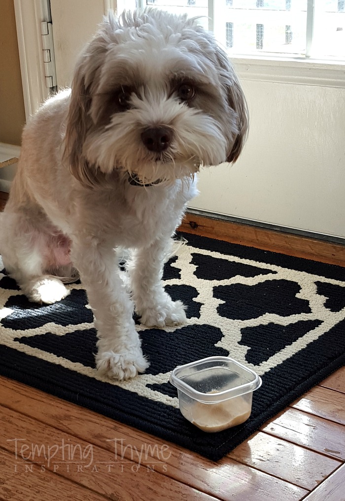 Frosty Paws Ice Cream