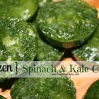 Spinach and Kale Cubes {Healthy Inspiration Tuesday~HIT#2}