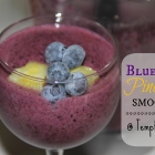 Blueberry Pineapple Smoothie {Healthy Inspiration Tuesday #6}