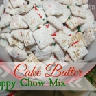 Cake Batter Puppy Chow Mix {Birthday Cake Chex Mix}