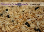 Blueberry Coconut Granola-Tempting Thyme