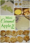 Individual Caramel Apple Pie-Apple Pie